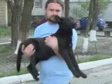 La stérilisation des chiens errants en Ukraine avant l'Euro 2012