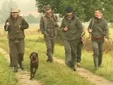 Quelques cas de chiens atteints de la maladie d'Aujeszky en 2017