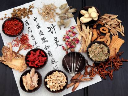 La Médecine Traditionnelle Chinoise pour les Chiens