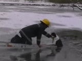 Un pompier sauve un chien tombé dans un étang gelé