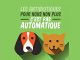 Les antibiotiques pour les chiens