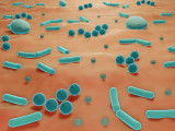 Schéma montrant des microbes sur la peau
