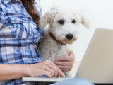 Pourquoi et comment assurer la santé de son chien