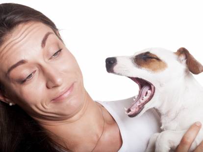 Une femme grimace car son chien a mauvaise haleine