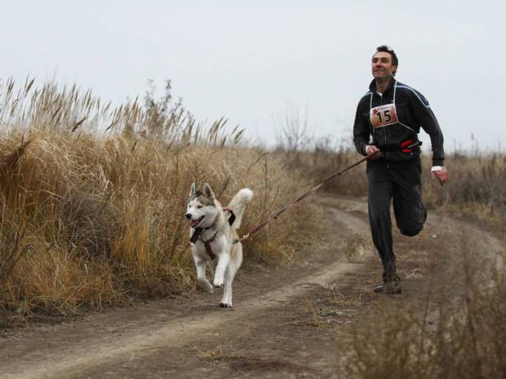 Le canicross - Faire du sport avec son chien