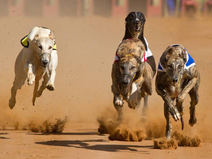 PVL Poursuite à Vue sur Leurre 2