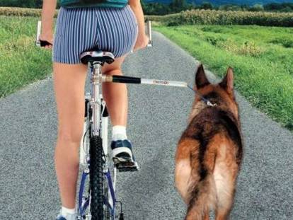 Cani-VTT : Faire de la randonnée en vélo avec son chien