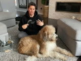 La maitresse de ce Saint Berdoodle le toilette