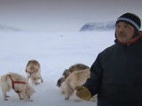 Un musher explique son métier et la relation avec ses chiens