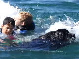 Démonstration de chiens de sauvetage en mer