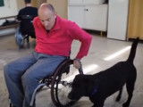 Comment un chien d'assistance change la vie d'une personne handicapée