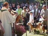 Une cérémone de bénédiction de chiens de chasse