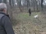 Un concours de chien d'arrêt sur perdreau