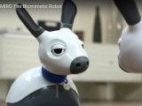 Présentation de MiRo, un chien-robot de compagnie