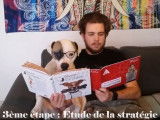 Un étudiant prépare son examen d'entrée... avec son Bouledogue Américain !