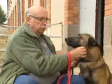 La détection du cancer du sein par des chiens