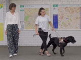 Comment travaille un chien guide d'aveugle dans le métro