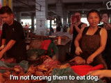 La fête annuelle de la viande de chien à Yulin
