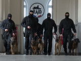 Les chiens policiers du RAID