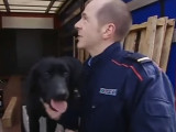 La formation des chiens de recherche de stupéfiants dans les douanes françaises