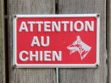 20 races de chiens de garde