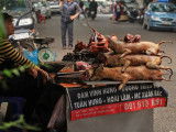 Un stand de vente de viande de chien en Asie