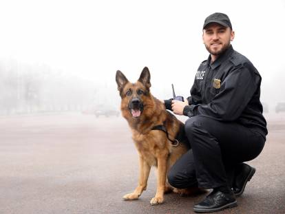 Les chiens policiers d’assaut et les chiens d’intervention / défense