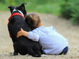 Une petite fille fait un câlin à son chien