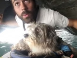 Un homme, un kayak et… un chien