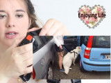Comment bien attacher son chien en voiture