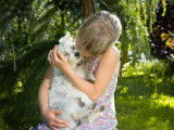 Faire un câlin à son chien ou prendre son chien dans ses bras : il n'aime pas