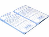 Carnet de santé, pedigree, passeport... : les papiers du chien