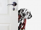 Avoir un chien en appartement : comment s'y prendre