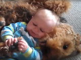 L'Airedale Terrier aime les enfants