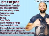 La loi sur les chiens catégorisés est-elle bonne ou mauvaise ?
