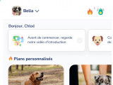 Une capture d'écran de l'application Hundeo avec le nom d'un chien ainsi qu'un programme pour l 'éduquer