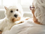 Les seniors et leur animal de compagnie