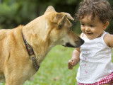 Un jeune enfant avec un chien