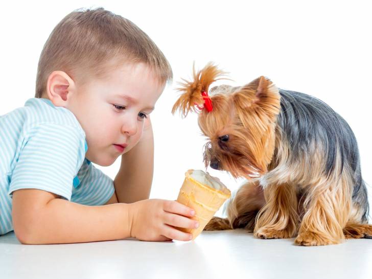 Donner des restes de repas à son chien : bonne ou mauvaise idée ?
