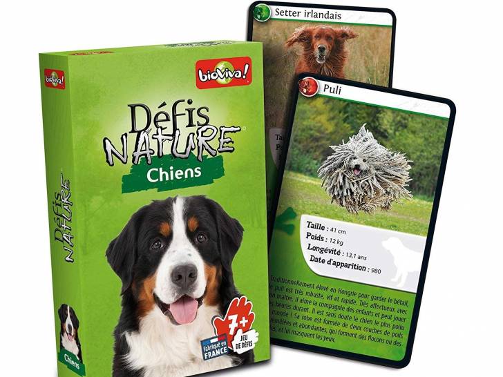 Offrir Un jeu de cartes avec des chiens en cadeau