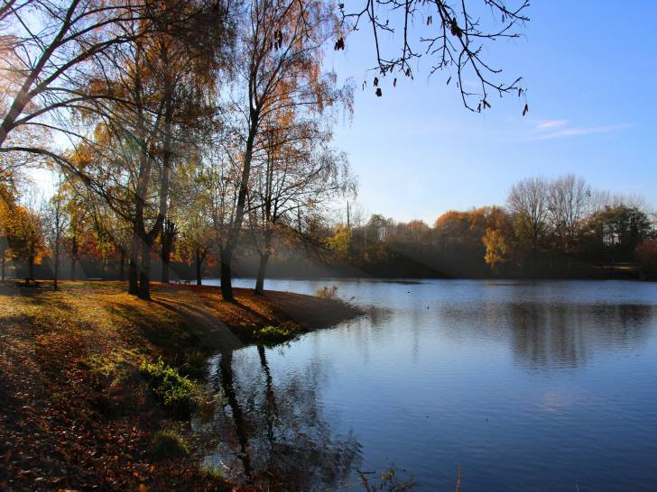 Le lac du Héron, dans le Nord