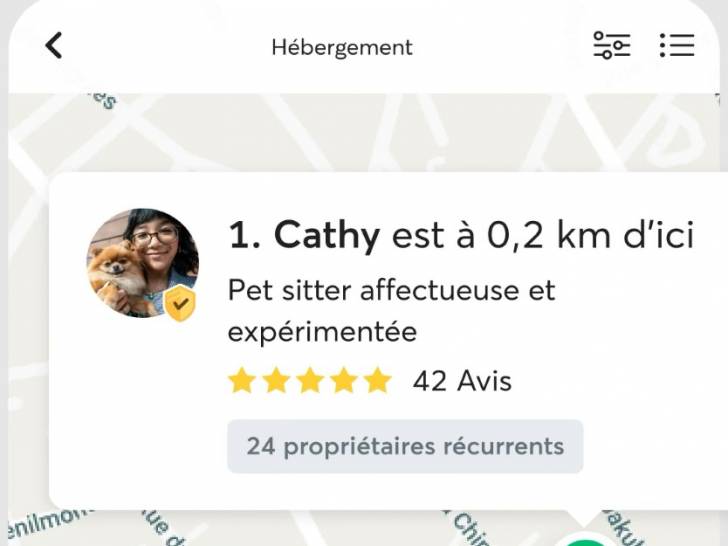 Une capture d'écran de l'application Rover montrant un plan et une pet-sitteuse