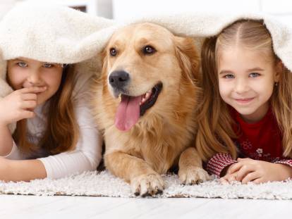 25 races de chien qui aiment les enfants
