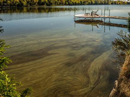 Une éclosion de cyanobactéries sur un lac