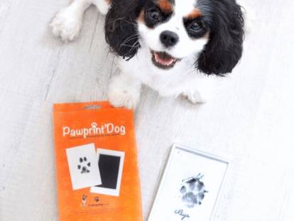Offrir Un kit d'empreinte pour chien en cadeau