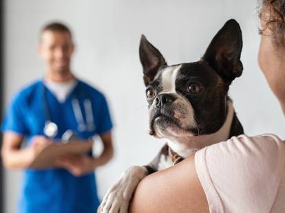 Une femme emmène son chien à un centre antipoison