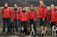 Une équipe de flyball