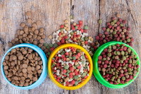 Trois gamelles avec trois types de croquettes pour chien