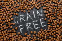 Des croquettes pour chien sans céréale sur un fond gris