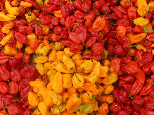 Le piment